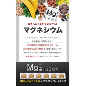 マグネシウム サプリメント マグネシウムプラス...の詳細画像3