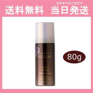 ヘアボーテ エクラ ボタニカル エアカラーフォーム ダークブラウン 80g HAIR  BEAUTE ECLAT ヘアカラーフォーム 泡 白髪染め 白髪用  当日発送