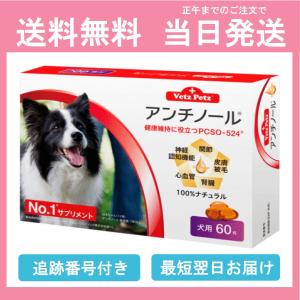 アンチノール 犬用 サプリメント 60粒 健康 関節 腎臓 心血管 認知症 送料無料 当日発送