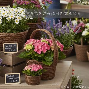 ワンハンドルギフトバスケット かご カゴ 籠 ...の詳細画像1