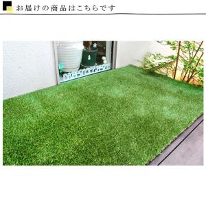 人工芝ロール20mm 2mグリーン 人工芝 ロ...の詳細画像2
