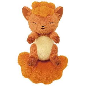 ポケモンサンムーンロコンぬいぐるみの商品一覧 通販 Yahoo ショッピング