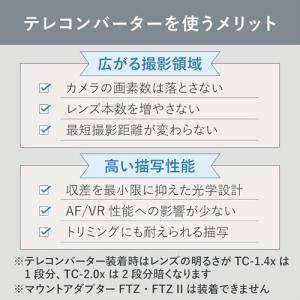 Nikon テレコンバーター Z TELECO...の詳細画像2