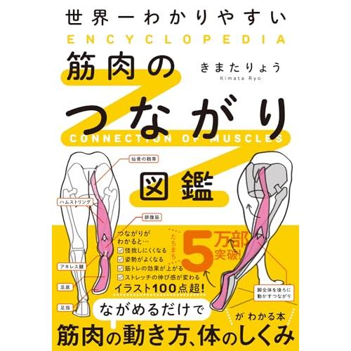 世界一わかりやすい 筋肉のつながり図鑑