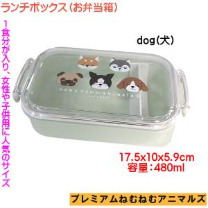柴犬 コタロウ お弁当箱 ランチボックス ねむ...の詳細画像1