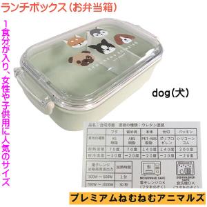 柴犬 コタロウ お弁当箱 ランチボックス ねむ...の詳細画像3