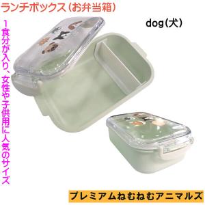 柴犬 コタロウ お弁当箱 ランチボックス ねむ...の詳細画像5