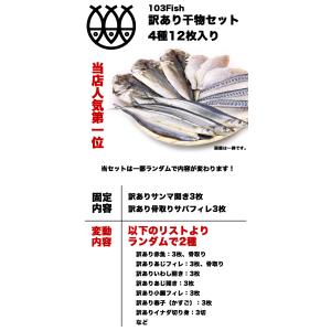 訳あり 干物 干物セット 「M」 4種12枚 ...の詳細画像1