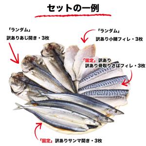 訳あり 干物 干物セット 「M」 4種12枚 ...の詳細画像2