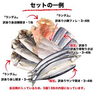 訳あり 干物 干物セット 「L」 4~5種 1...の詳細画像2