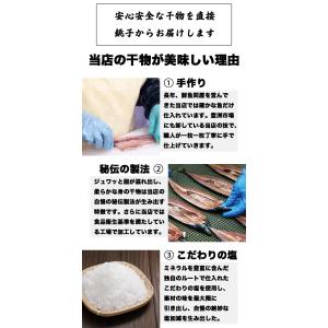 訳あり 干物 干物セット 「L」 4~5種 1...の詳細画像3