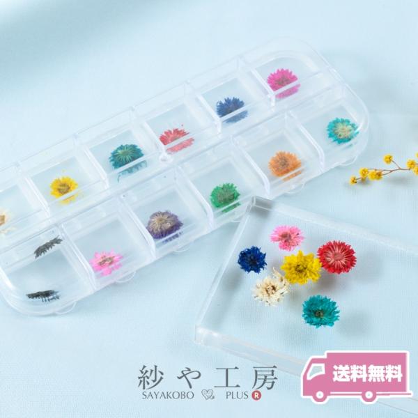ドライフラワー 封入パーツ ダリア ジェルネイル 花 レジン レジンパーツ レジン材料