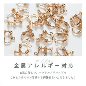 イヤリング パーツ 10ペア 20個 ニッケル...の詳細画像1