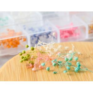 ドライフラワー 封入パーツ カスミソウ MIX...の詳細画像3