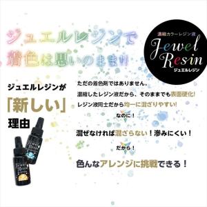 濃縮レジン液 Jewel Resin カラーレ...の詳細画像2