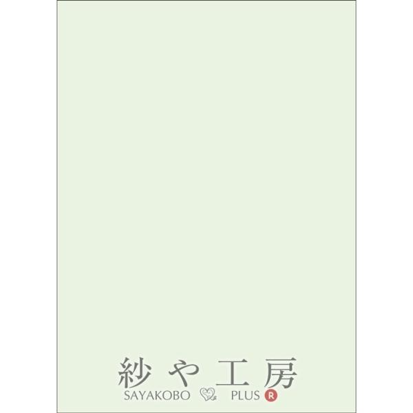 カット薄紙  ライトグリーン 272×197mm 200枚入 ラッピング資材 梱包資材 薄い 紙材 ...