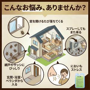 ムカデ博士 10kg 2個セット ムカデ対策 ...の詳細画像1