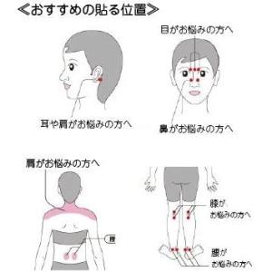 丸山式コイル ブラックアイ 6個入り ユニカ ...の詳細画像2