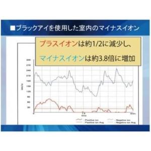 丸山式コイル ブラックアイ 6個入り ユニカ ...の詳細画像5