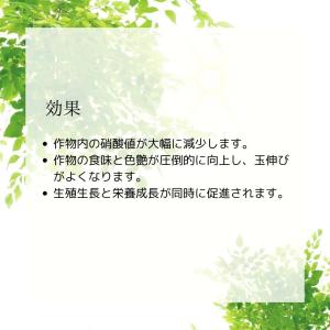 甘彩六花シリーズ 200ml 成長促進バイオ製...の詳細画像2