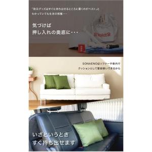 プロイデア SONAENO ソナエノ 2種から...の詳細画像3