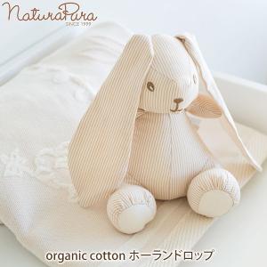 オーガニックコットン ぬいぐるみ ホーランドロップ NATURAPURA｜yshopharmo