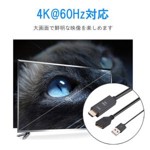 HDMI to DisplayPort 変換ア...の詳細画像3