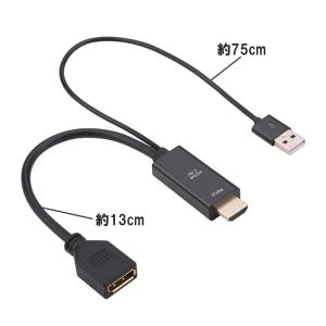 HDMI to DisplayPort 変換ア...の詳細画像4