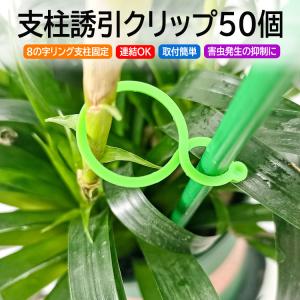 支柱誘引クリップ 50個セット 植物支柱リング 支柱連結 つる固定 八の字 ワンタッチ 結束バンド 誘引資材 園芸 ガーデニング 農作業 いちご トマト HR-ZWJ8S50｜yshotlounge