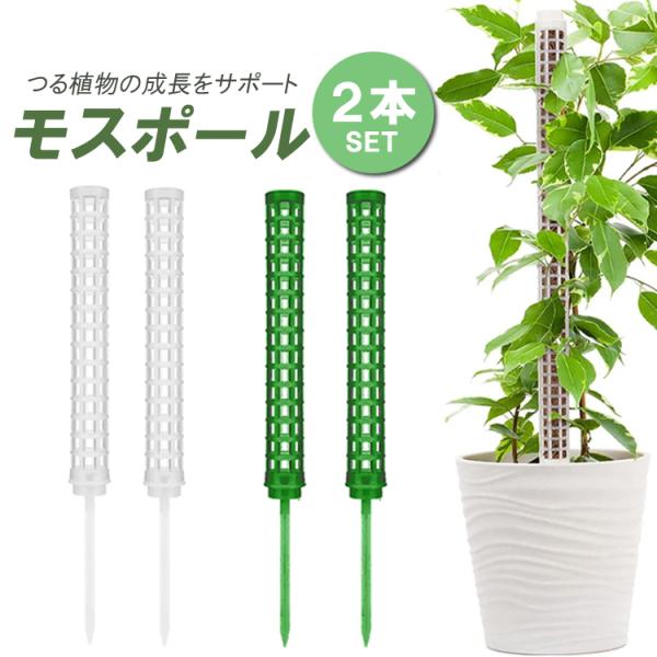 モスポール 支柱 2本セット 連結可能 観葉植物 モンステラ つる植物 着生植物 園芸支柱 植物支柱...