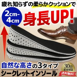 シークレットインソール  インソール 2cm　3cm　身長アップ 衝撃吸収  中敷き  上げ底