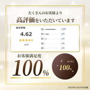 パソコンケース 15.6 14 13 インチ ...の詳細画像2