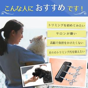 ペット用ハサミ お手入れ トリミング用品 犬用品 ペット用品 生き物 通販 Yahoo ショッピング