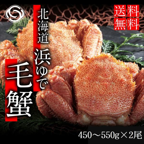 2025 ギフト北海道産 毛がに 毛蟹(450~550g前後×2尾) かに カニ 蟹 海鮮 お祝い ...