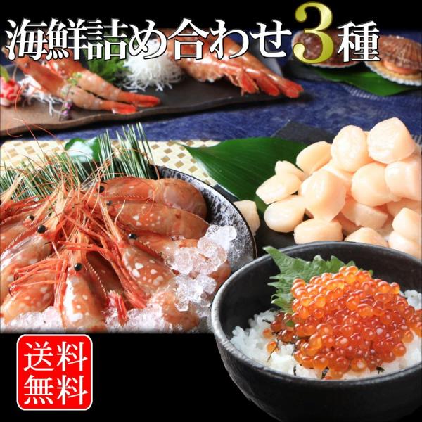 2025 ギフト 北海道 海鮮 詰め合わせ3種(いくら200g/ほたて貝柱250g/ぼたん海老250...