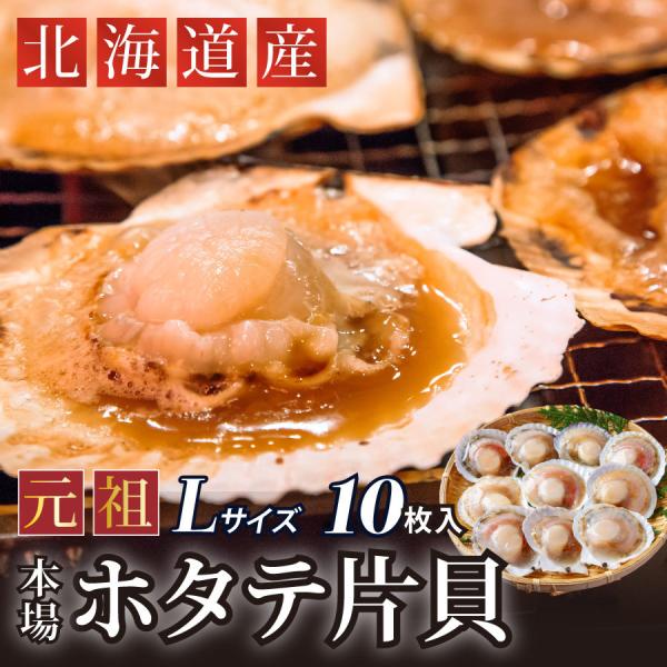 2025  ギフト 北海道産 ほたて 片貝 L(10〜11cm) 10枚入  海鮮 BBG バーべキ...