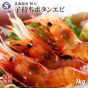 2024 特大子持ち ぼたんえび ボタンエビ 1kg 250 g×４（20〜24尾前後）　小分けパック