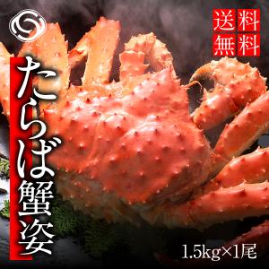 2022 ギフト 海鮮 かに タラバガニ 蟹 たらば蟹姿　(1.６kg前後×1)　送料無料　北海道　ギフト　贈答　かに　タラバガニ
