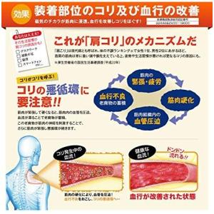 ファイテン Rakuwa 磁気チタンネックレス メタルトップ 磁気治療器 の商品一覧 鍼 灸 治療器 ダイエット 健康 通販 Yahoo ショッピング