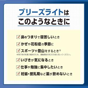 ブリーズライト スタンダード レギュラー 肌色...の詳細画像3