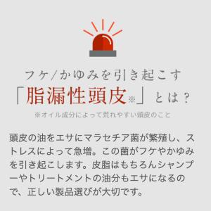 【脂漏性 かゆみ フケ】カダソン 薬用シャンプ...の詳細画像2