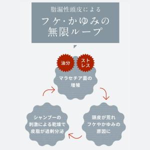 【脂漏性 かゆみ フケ】カダソン 薬用シャンプ...の詳細画像3