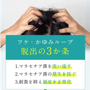 【脂漏性 かゆみ フケ】カダソン 薬用シャンプ...の詳細画像4