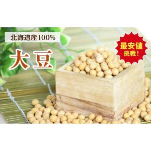 トヨマサリ大豆　大粒2.8分 　約１ｋｇ（970ｇ） メール便　2023年産　新物 　北海道産