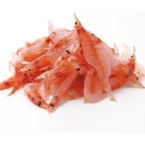 生食用 生桜海老 500g 解凍後そのままお召...の詳細画像1