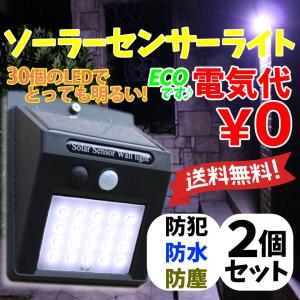 2個セット 30個LED ソーラーライト 屋外 人感センサーライト 太陽光発電 自動点灯 防水 防犯 庭 壁 ガーデン 玄関 照明 ledライト ポイント消化