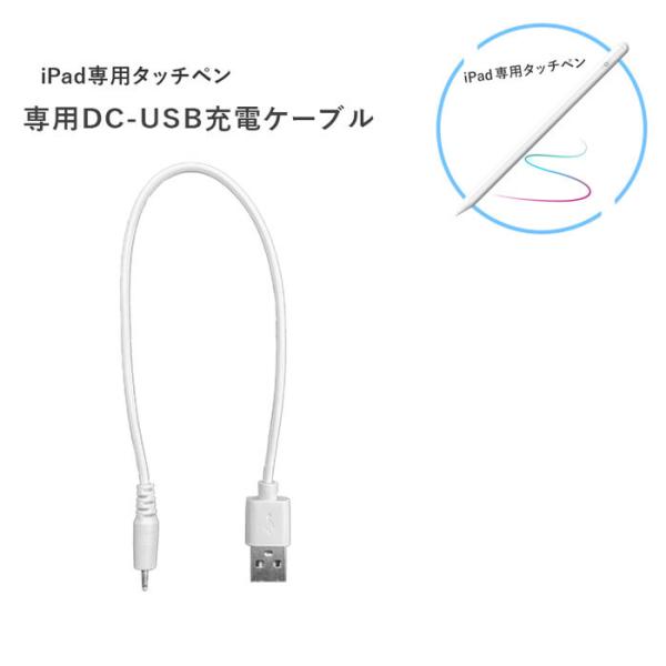 iPad専用タッチペンの専用DC-USB充電ケーブル