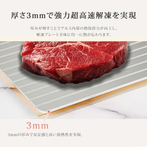 TOKAIZ公式! 国内食品安全検測済 解凍プ...の詳細画像3