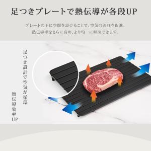 TOKAIZ公式! 国内食品安全検測済 解凍プ...の詳細画像4