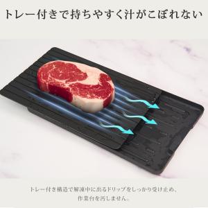 TOKAIZ公式! 国内食品安全検測済 解凍プ...の詳細画像5